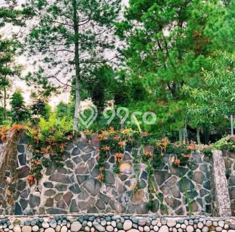 KESEMPATAN EMAS! Vila Kawasan Subang, Area 5600m2m², Lingkungan Eksklusif dengan privasi terjaga KESEMPATAN EMAS! Vila Kawasan Subang, Area 5600m2m², Lingkungan Eksklusif dengan privasi terjaga