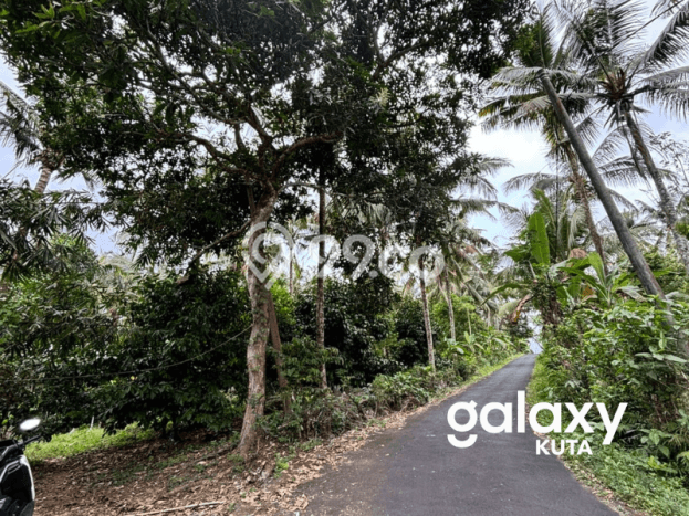 Tanah Lokasi Strategis di Lalanglinggah, Luas 1900m², Lingkungan Nyaman, Akses Lalanglinggah, Tabanan, Tabanan Tanah Lokasi Strategis di Lalanglinggah, Luas 1900m², Lingkungan Nyaman, Akses Lalanglinggah, Tabanan, Tabanan