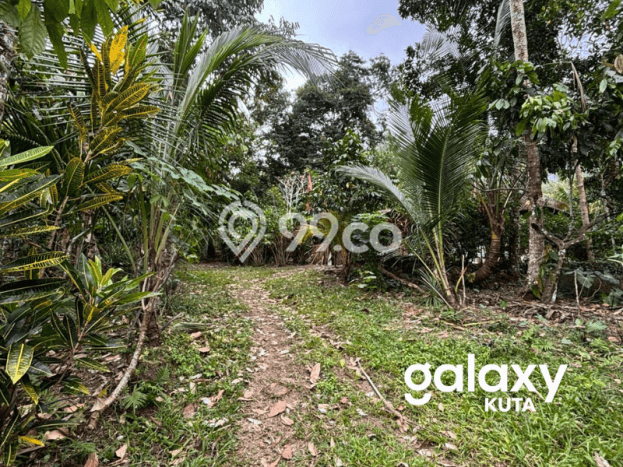 Tanah Lokasi Strategis di Lalanglinggah, Luas 1900m², Lingkungan Nyaman, Akses Lalanglinggah, Tabanan, Tabanan Tanah Lokasi Strategis di Lalanglinggah, Luas 1900m², Lingkungan Nyaman, Akses Lalanglinggah, Tabanan, Tabanan