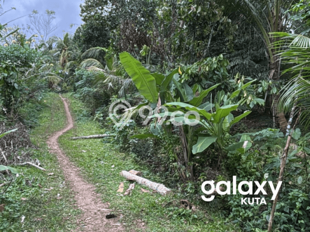 Tanah Lokasi Strategis di Lalanglinggah, Luas 1900m², Lingkungan Nyaman, Akses Lalanglinggah, Tabanan, Tabanan Tanah Lokasi Strategis di Lalanglinggah, Luas 1900m², Lingkungan Nyaman, Akses Lalanglinggah, Tabanan, Tabanan