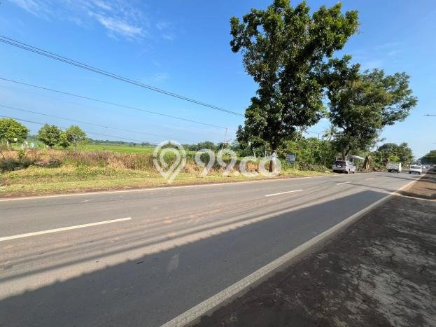 Tanah Komersial Dijual di Subang Subang 4975m2 Tanah Komersial Dijual di Subang Subang 4975m2