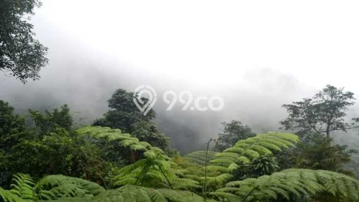 Tanah Kavling Dijual di Resor Dago Pakar, Bandung dengan Luas Tanah 190m2 Tanah Kavling Dijual di Resor Dago Pakar, Bandung dengan Luas Tanah 190m2