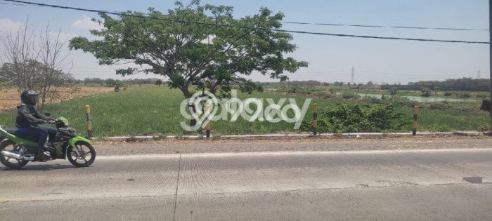 Tanah Strategis Dijual di Cerme Gresik 17000m2 Tanah Strategis Dijual di Cerme Gresik 17000m2