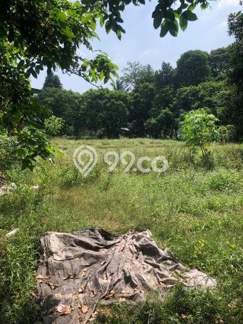 Tanah Dijual Lokasi Cisauk Tangerang AJB Tanah Dijual Lokasi Cisauk Tangerang AJB