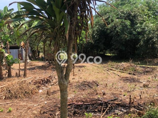 Tanah Dijual Lokasi Cisauk Tangerang AJB Tanah Dijual Lokasi Cisauk Tangerang AJB