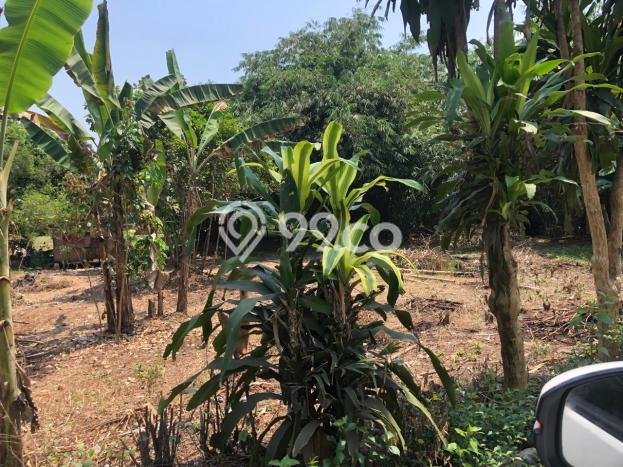 Tanah Dijual Lokasi Cisauk Tangerang AJB Tanah Dijual Lokasi Cisauk Tangerang AJB