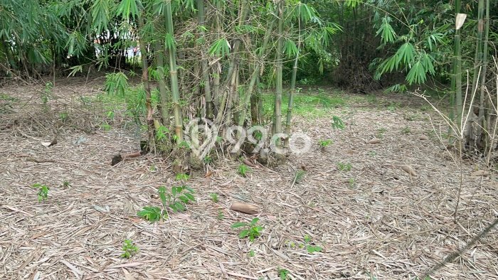 Lahan Kosong Dijual di Tangerang dengan Area 1052m2 Lahan Kosong Dijual di Tangerang dengan Area 1052m2