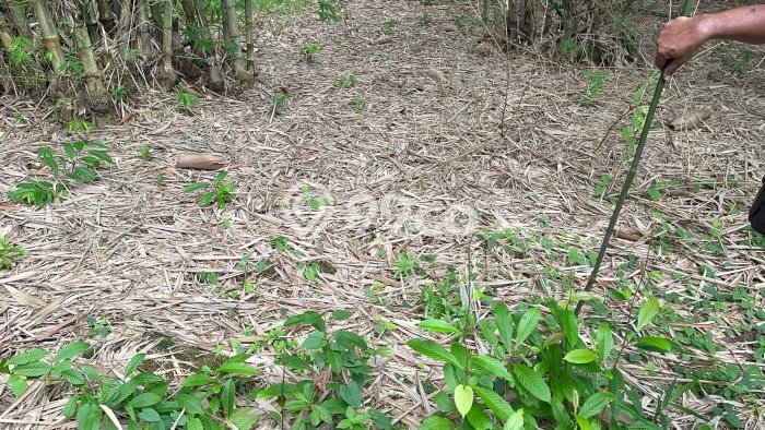 Lahan Kosong Dijual di Tangerang dengan Area 1052m2 Lahan Kosong Dijual di Tangerang dengan Area 1052m2