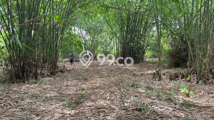 Lahan Kosong Dijual di Tangerang dengan Area 1052m2 Lahan Kosong Dijual di Tangerang dengan Area 1052m2