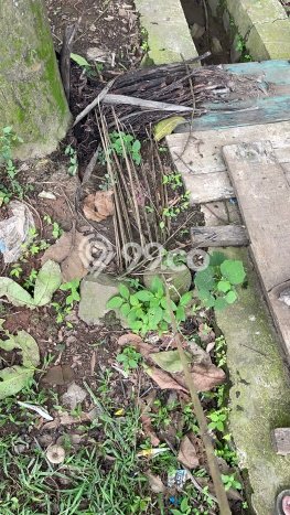 Jarang Ada! Tanah di Cisoka Punya Luas 834m2 SHM Jarang Ada! Tanah di Cisoka Punya Luas 834m2 SHM