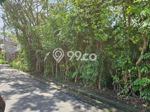 Tanah Kavling Dijual di Badung dengan Spesifikasi 250m2 Tanah Kavling Dijual di Badung dengan Spesifikasi 250m2