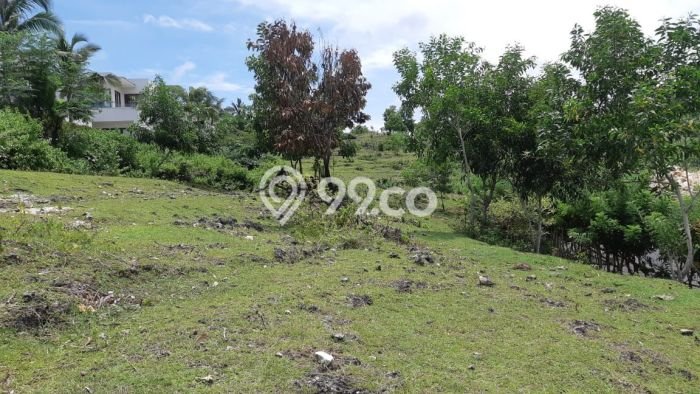 Jarang Ada! Tanah Kavling Disewakan di Badung 4927m2 Jarang Ada! Tanah Kavling Disewakan di Badung 4927m2