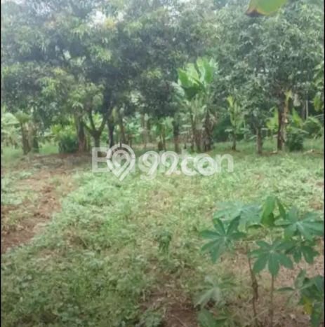 Untuk Dijual Tanah di Sukabumi, Luas 2348m2 SHM Untuk Dijual Tanah di Sukabumi, Luas 2348m2 SHM