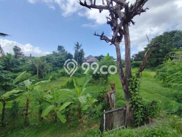 Tanah Dijual Area Strategis di Keramas Gianyar 5040m2 Tanah Dijual Area Strategis di Keramas Gianyar 5040m2