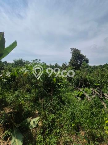 Tanah Kosong Dijual di Balikpapan dengan Area 472m2 Tanah Kosong Dijual di Balikpapan dengan Area 472m2