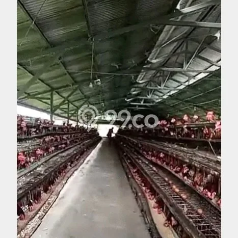 Lahan Kosong Dijual di Bogor dengan Area 110000m2 Lahan Kosong Dijual di Bogor dengan Area 110000m2