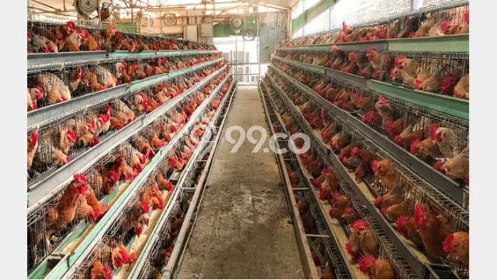 Lahan Kosong Dijual di Bogor dengan Area 110000m2 Lahan Kosong Dijual di Bogor dengan Area 110000m2