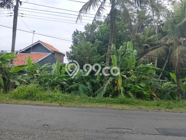 Lahan untuk Dijual Lokasi Jeruklegi, Cilacap Luas 900m2 SHM Lahan untuk Dijual Lokasi Jeruklegi, Cilacap Luas 900m2 SHM