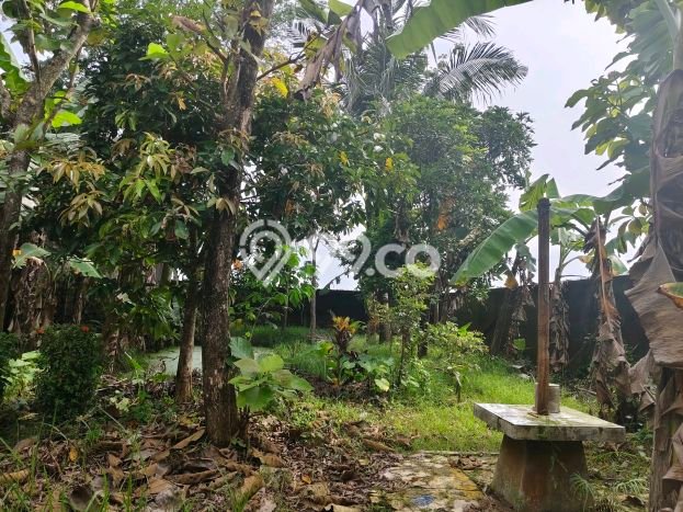 Siap Huni Rumah Mewah 10 Kamar di Maos Dekat ke Mana Saja Siap Huni Rumah Mewah 10 Kamar di Maos Dekat ke Mana Saja