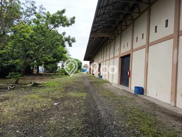 Disewakan Gudang komersial di Cilacap Utara luas bangunan 1200m2 Disewakan Gudang komersial di Cilacap Utara luas bangunan 1200m2