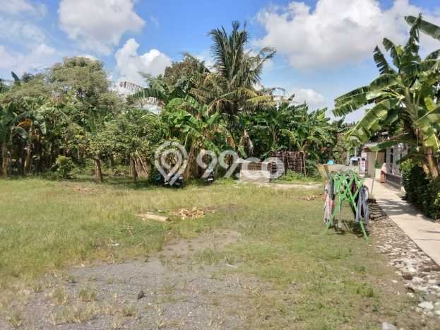 Tanah Dijual Lokasi Maos, Cilacap Luas 1503m2 Legalitas Aman Tanah Dijual Lokasi Maos, Cilacap Luas 1503m2 Legalitas Aman
