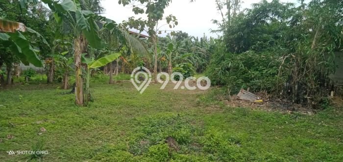 Tanah Dijual Lokasi Kebasen, Banyumas Luas 2240m2 Legalitas Aman Tanah Dijual Lokasi Kebasen, Banyumas Luas 2240m2 Legalitas Aman