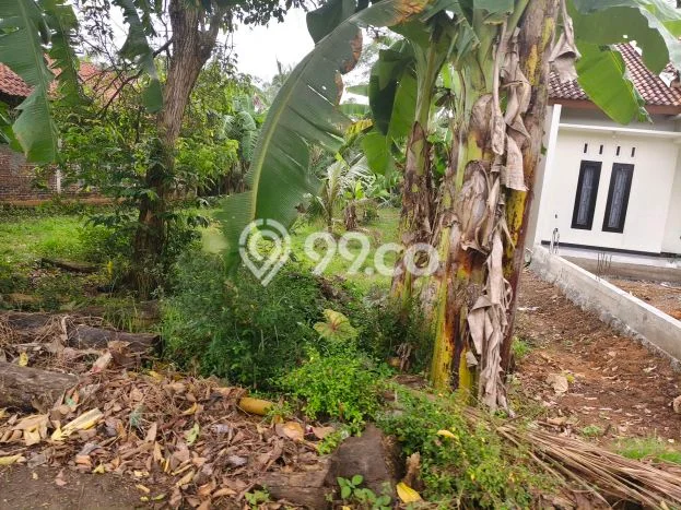 Tanah untuk Dijual di Kroya Cilacap Luas 3540m2 Tanah untuk Dijual di Kroya Cilacap Luas 3540m2