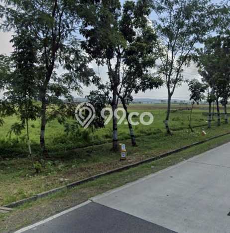 Tanah Kavling di Bukateja Dijual dengan Luas 7621m2 Tanah Kavling di Bukateja Dijual dengan Luas 7621m2