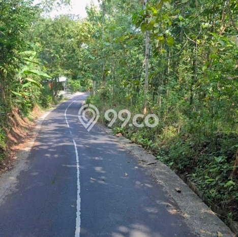 Tanah di Tambak, Banyumas Luas 4300m2 Dijual Segera Tanah di Tambak, Banyumas Luas 4300m2 Dijual Segera
