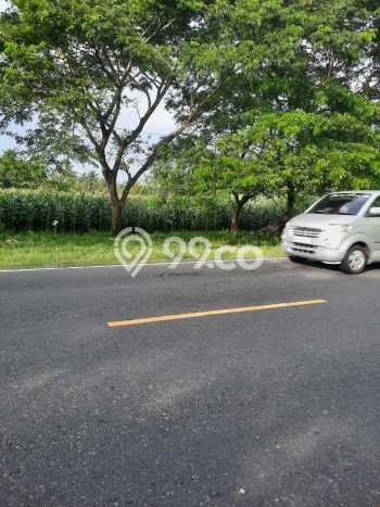 Lahan Strategis di Purwodadi Dijual dengan Luas 13000m2 Lahan Strategis di Purwodadi Dijual dengan Luas 13000m2