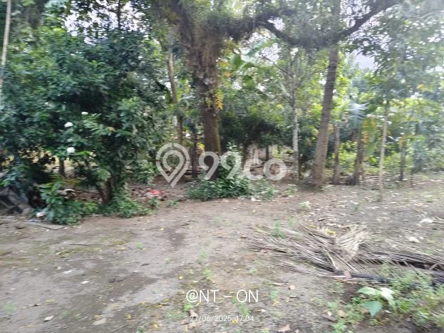 Tanah Kavling untuk Dijual di Kroya Cilacap 1010m2 Tanah Kavling untuk Dijual di Kroya Cilacap 1010m2