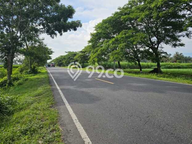 Lahan Strategis di Purwodadi Dijual dengan Luas 13000m2 Lahan Strategis di Purwodadi Dijual dengan Luas 13000m2