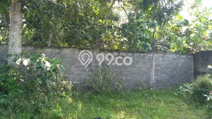 Tanah Kavling untuk Dijual di Kroya Cilacap 1010m2 Tanah Kavling untuk Dijual di Kroya Cilacap 1010m2
