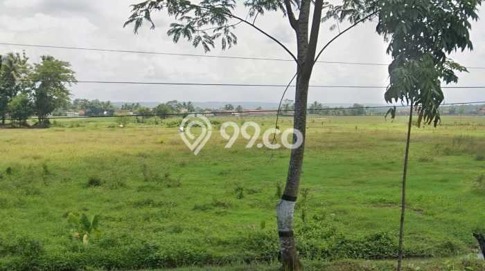 Tanah Kavling di Bukateja Dijual dengan Luas 7621m2 Tanah Kavling di Bukateja Dijual dengan Luas 7621m2