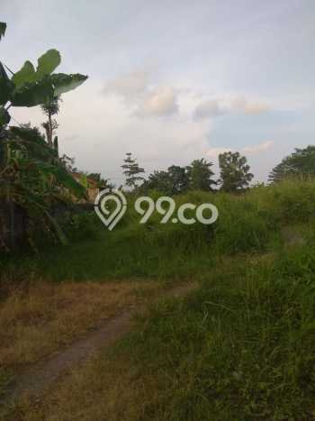Dijual Tanah di Banyumas, Luas 3618m2 SHM Dijual Tanah di Banyumas, Luas 3618m2 SHM