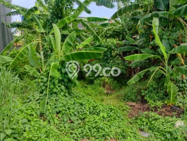 Kavling Tanah Dijual di Cakung Jakarta Timur Spesifikasi 150m2 Kavling Tanah Dijual di Cakung Jakarta Timur Spesifikasi 150m2