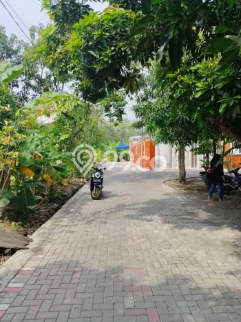 Tanah untuk Dijual di Pedurungan Semarang Luas 118m2 Tanah untuk Dijual di Pedurungan Semarang Luas 118m2
