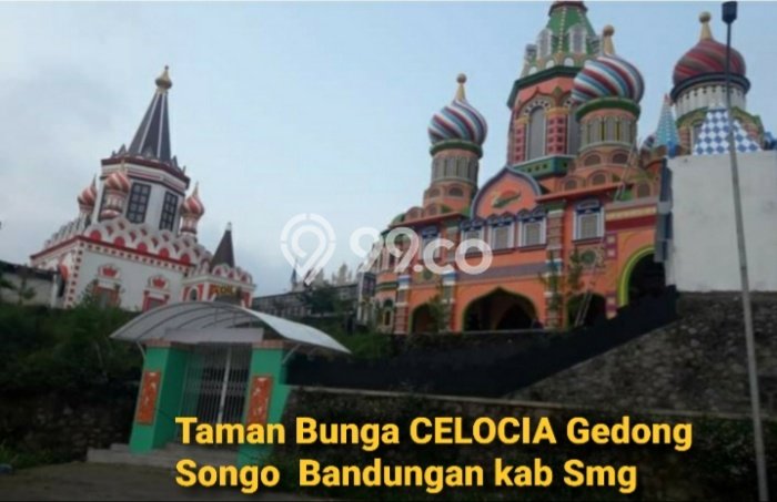 Tanah di Bandungan, Semarang Luas 2100m2 Dijual Segera Tanah di Bandungan, Semarang Luas 2100m2 Dijual Segera