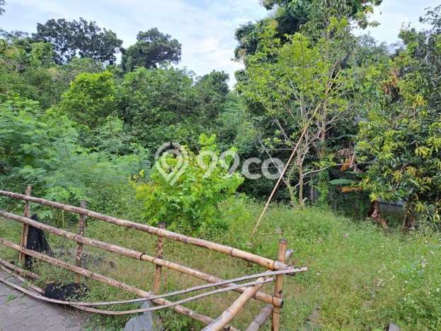 For Sale Rumah Mewah Exclusive di Ngaliyan, Semarang For Sale Rumah Mewah Exclusive di Ngaliyan, Semarang