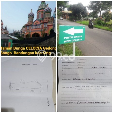 Tanah di Bandungan, Semarang Luas 2100m2 Dijual Segera Tanah di Bandungan, Semarang Luas 2100m2 Dijual Segera