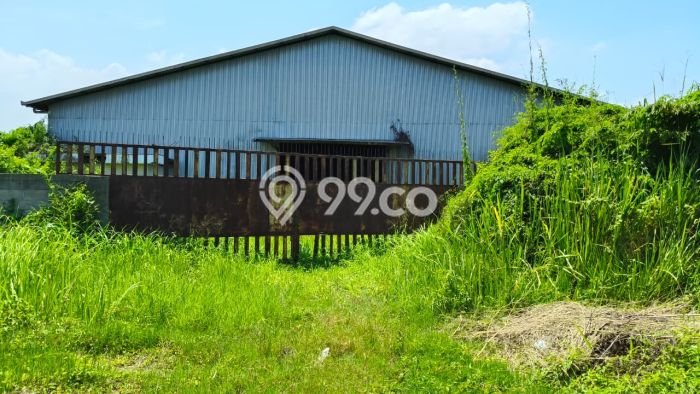 Unit Gudang Dijual di Kaliwungu Kendal Luas Tanah 11000m2, Luas Bangunan 6300m2 Unit Gudang Dijual di Kaliwungu Kendal Luas Tanah 11000m2, Luas Bangunan 6300m2