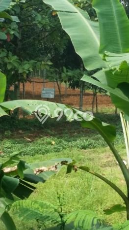 Tanah Kawasan Ciampea, Luas 13000m², Status SHM, Dekat Ciampea, Bogor, Bogor Tanah Kawasan Ciampea, Luas 13000m², Status SHM, Dekat Ciampea, Bogor, Bogor