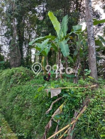 Tanah Kawasan Komersial di Ubud, Luas 1300m2m², Ideal untuk Bisnis Tanah Kawasan Komersial di Ubud, Luas 1300m2m², Ideal untuk Bisnis