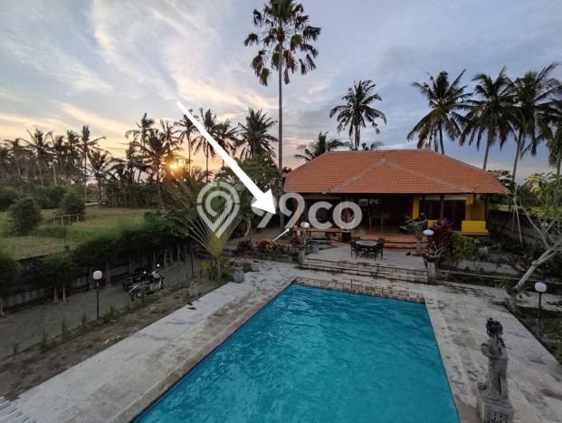 Vila Premium Kawasan Saba, Luas 1000m², Akses Saba, Gianyar, Gianyar Vila Premium Kawasan Saba, Luas 1000m², Akses Saba, Gianyar, Gianyar