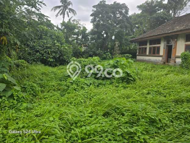 Tanah Kawasan Ubud, Luas 700m2m², Dekat Ubud, Gianyar, Gianyar Tanah Kawasan Ubud, Luas 700m2m², Dekat Ubud, Gianyar, Gianyar
