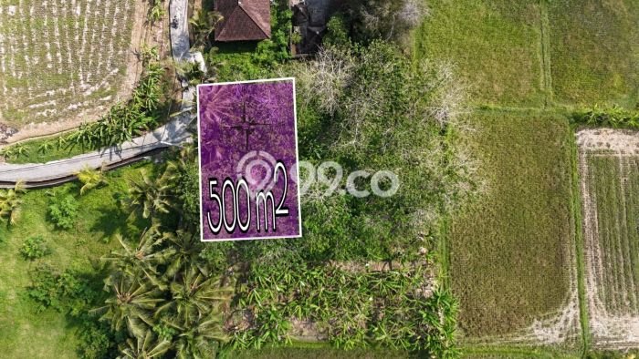 Lahan Dijual Lokasi Strategis di Gianyar dengan Luas 500m2 Lahan Dijual Lokasi Strategis di Gianyar dengan Luas 500m2