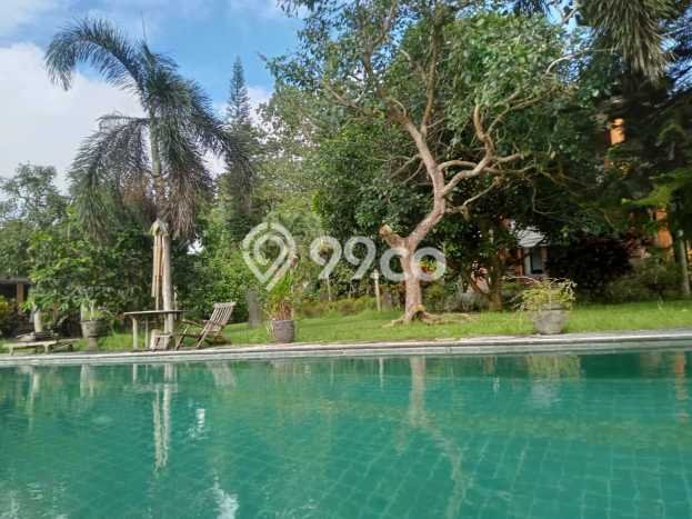 Properti Berkualitas! Vila Kawasan , Ukuran 3500m2m², Area Asri dan tenang Properti Berkualitas! Vila Kawasan , Ukuran 3500m2m², Area Asri dan tenang