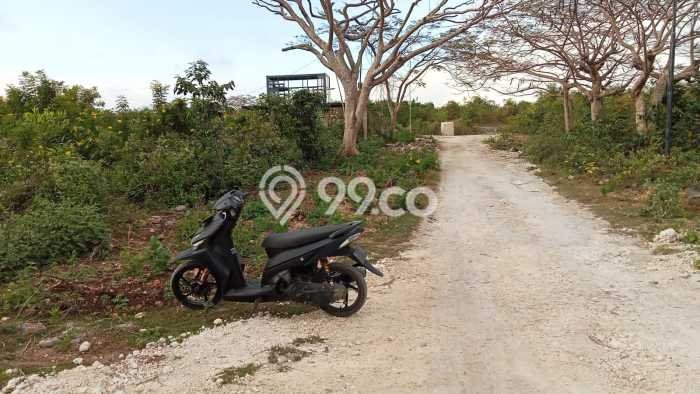 Tanah Dijual di Badung Seluas 662m2 Strategis Tanah Dijual di Badung Seluas 662m2 Strategis