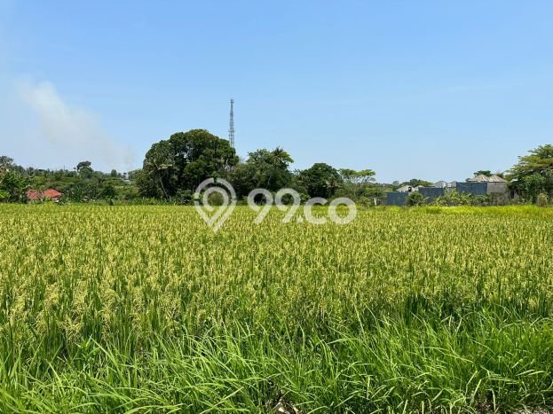 Dijual Tanah Lokasi Nyanyi, Badung Seluas 1190m2 Dijual Tanah Lokasi Nyanyi, Badung Seluas 1190m2