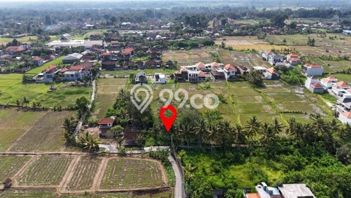 Lahan Dijual Lokasi Strategis di Gianyar dengan Luas 500m2 Lahan Dijual Lokasi Strategis di Gianyar dengan Luas 500m2